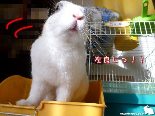 左良しっ