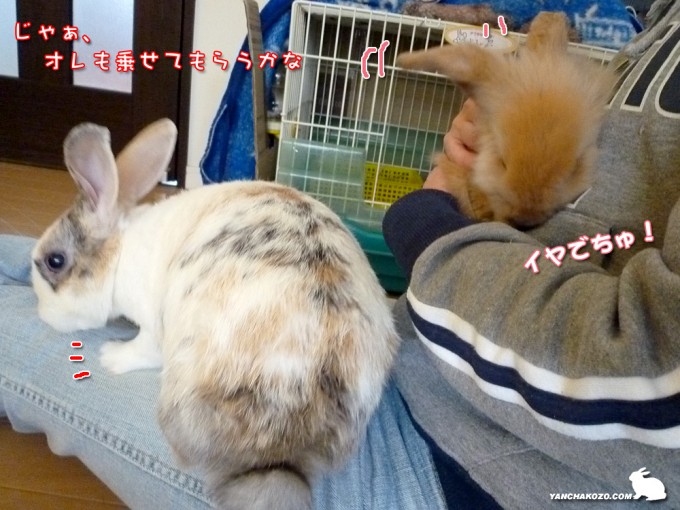 乗っちゃおう！
