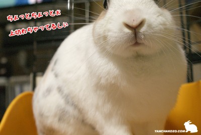 上切れてるのね~