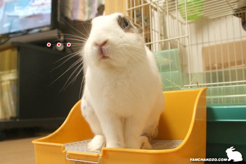 まだ●中