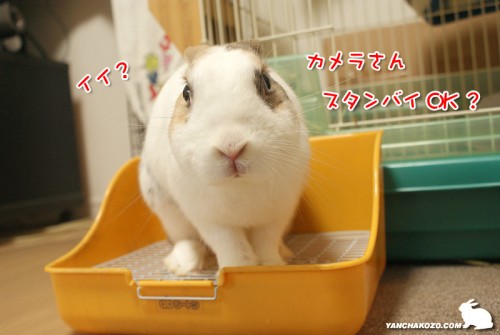 スタンバイOK?