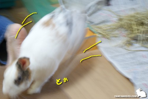 とぉと戻る