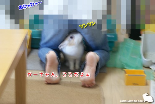 ここだよぉ