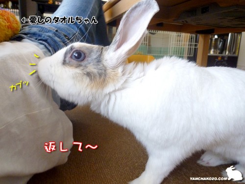 返せっ!