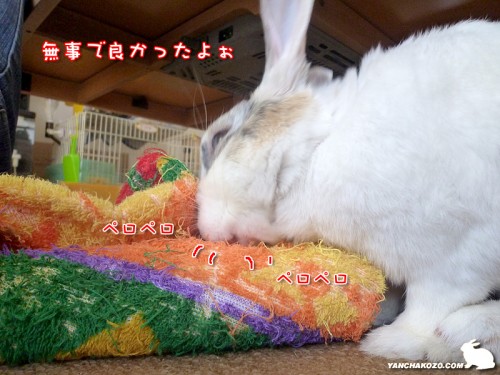 無事で良かった