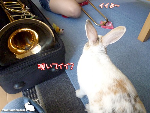 覗いてイイ？