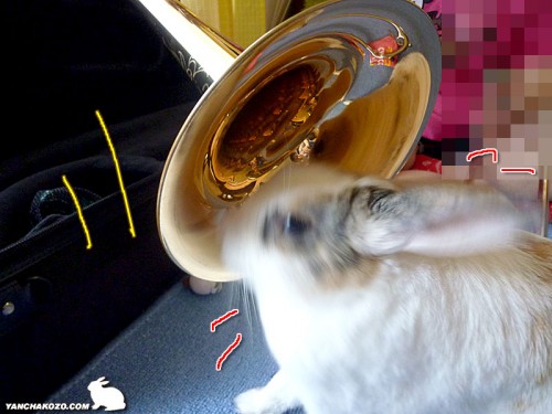襲われる