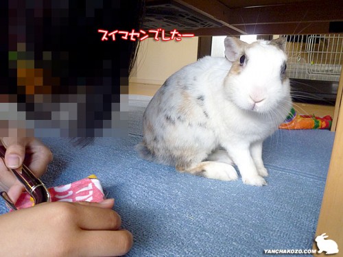テーブル下で