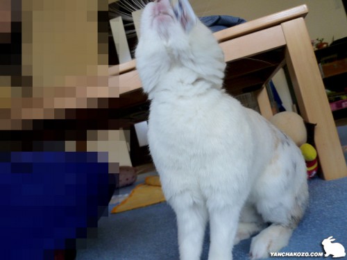 歯も見せちゃう