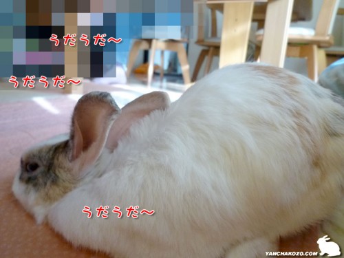 うだうだぷりん
