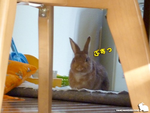ぶすっ