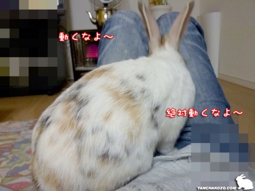 動くなよ