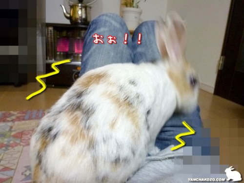 驚く!