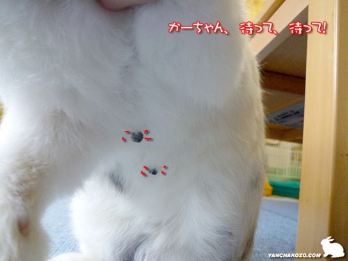 付けて来た
