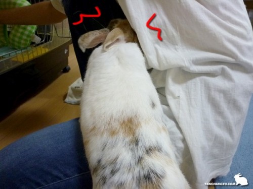 嗅ぐぜ！！