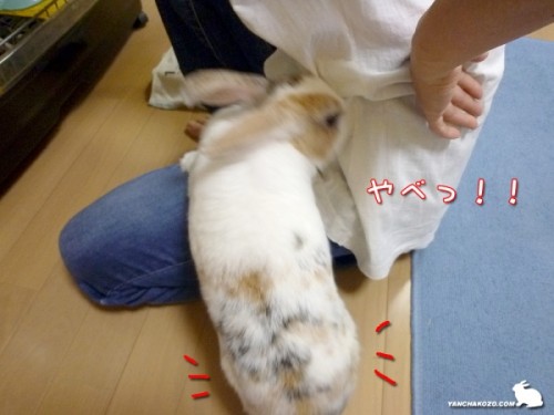 出てたっ！！