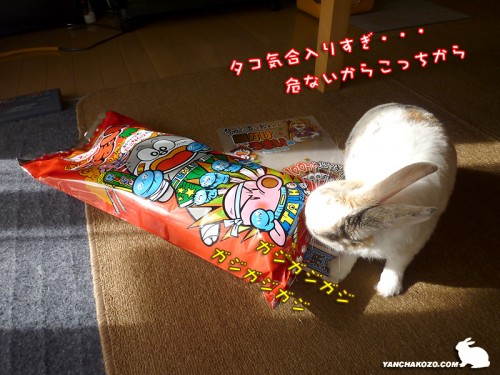 下から