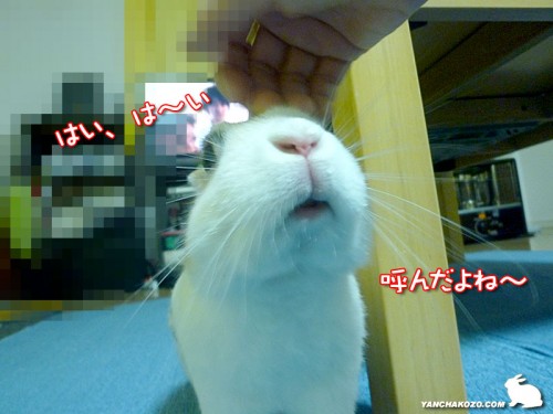 来たよ