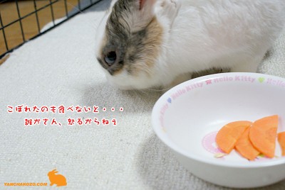 ぷりんこぼしたのも食べる