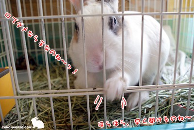 ぷりん口でダメなら手