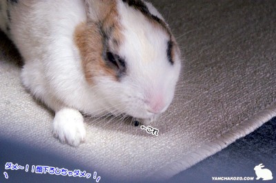 顔を下ろしちゃダメ～