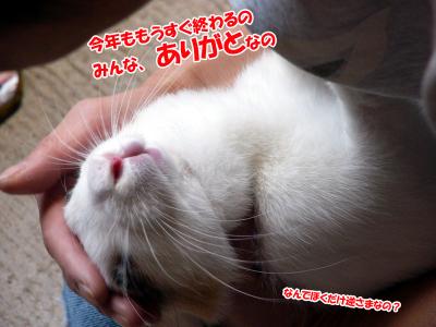 ぷりんご挨拶