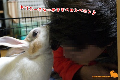 おでこも舐めます おでこも舐めます