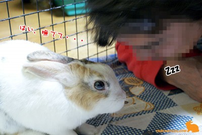 撫でて・・・ 撫でて・・・
