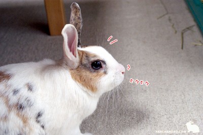 ヒクヒク！！