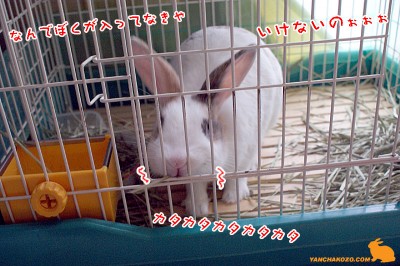 なんでぼくが・・・