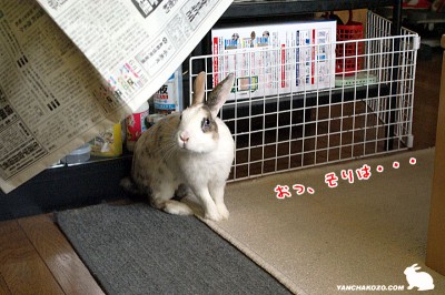 それは・・・ それは・・・