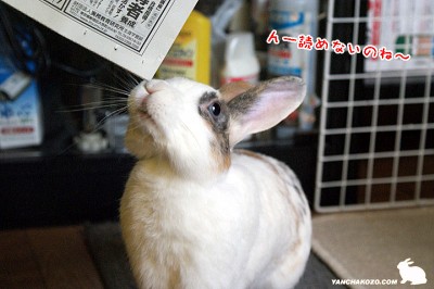 読めない・・・ 読めない・・・