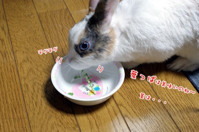 ぷりん次は大根