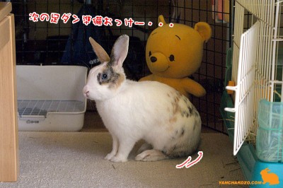 次の足ダン準備