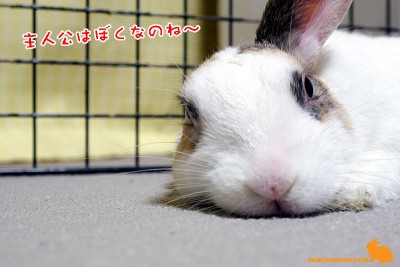 主役はぼく