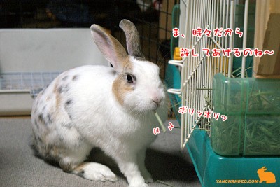 許すのね～