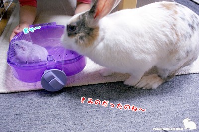くーとご対面 くーとご対面