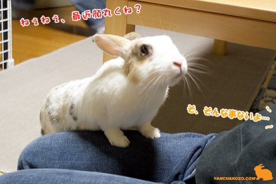 丸くなった?