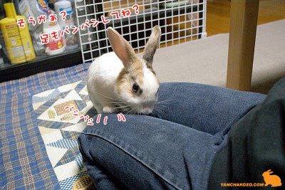 足パンパン