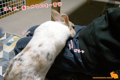 乗っかるのも一苦労