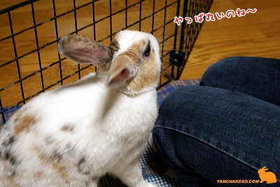 やっぱ丸い