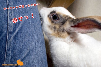 返せっ！