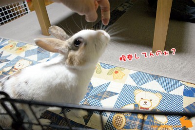 指に釣られて