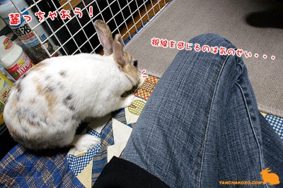 掘っちゃおう！