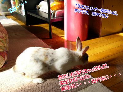 ぷりん寄り道02