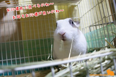 お行儀が良いと・・・