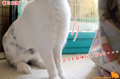 ぷりん第三段階