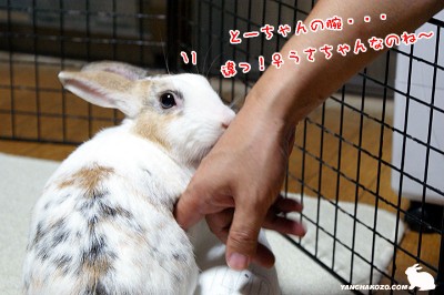 腕！？