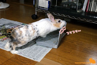 匂い付けなのね~ 匂い付けなのね~