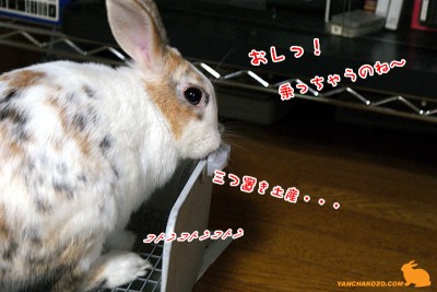 置き土産 置き土産